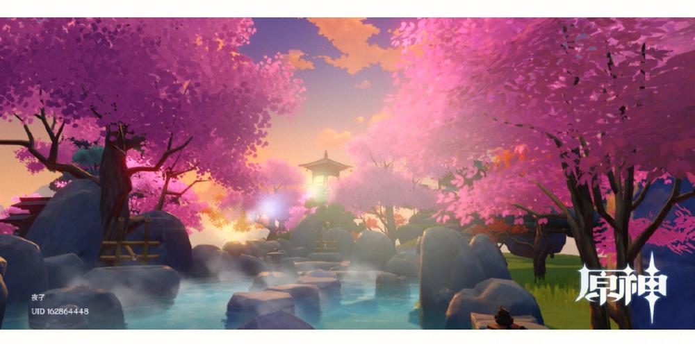 如何下载弘树NTR？新手玩家下载指南