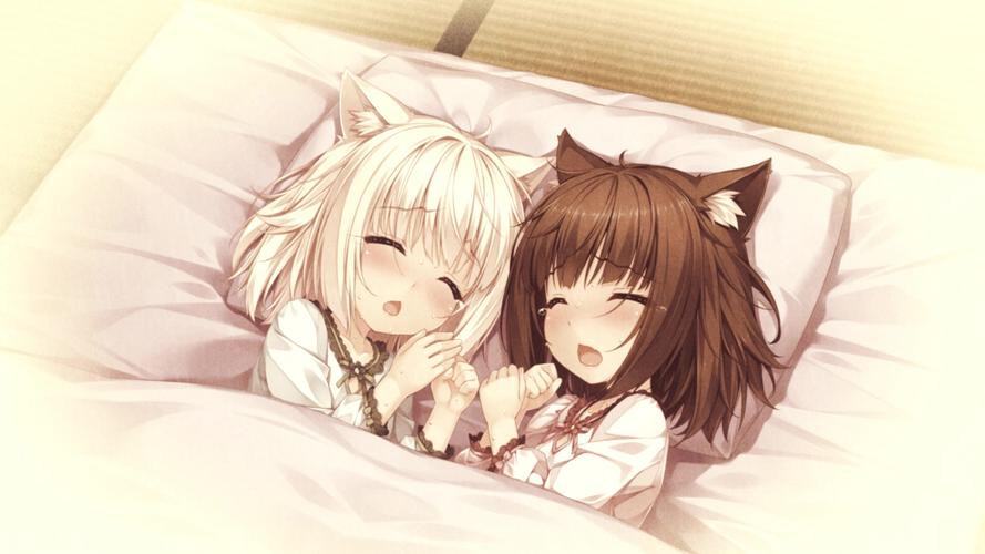 巧克力与香子兰3:全新剧情,精彩不断