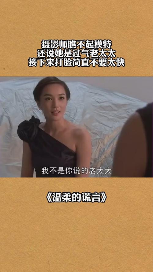 想下载摄影师的谎言?教你快速找到下载链接