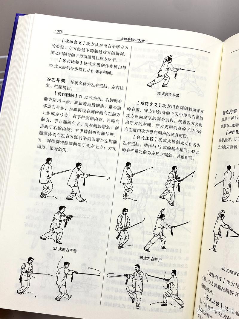 快速学会金蛇剑法:秘籍解析与实战技巧分享