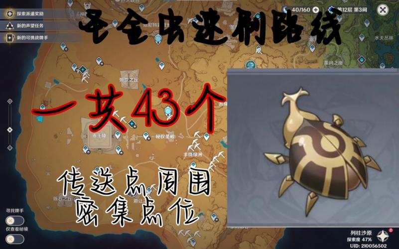 圣金甲虫游戏攻略:快速收集秘籍大公开