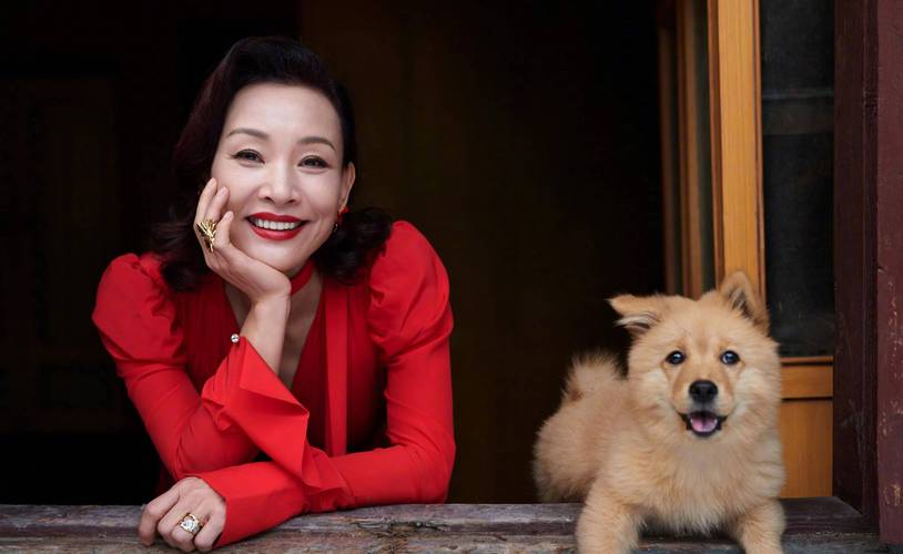 人狗情未了下载地址:快速下载高清完整版