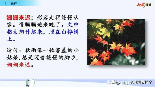 解读血环:词语释义及相关知识点介绍