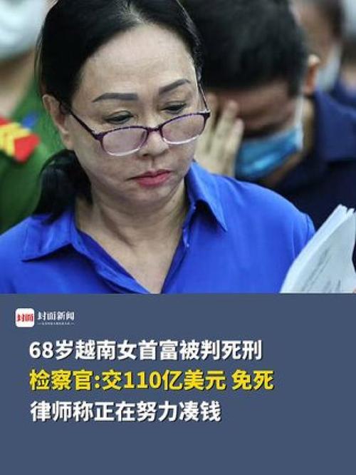 越南房地产大亨被判刑:贪婪的代价有多大