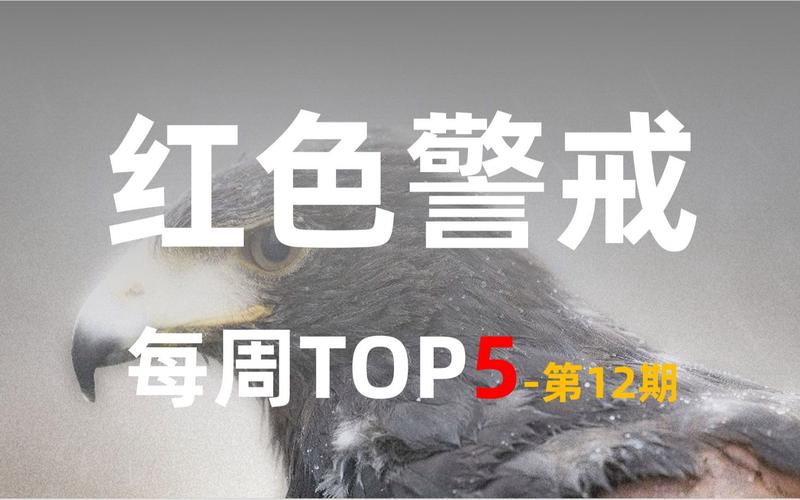 红警2显示问题解决：画面模糊、卡顿怎么办？