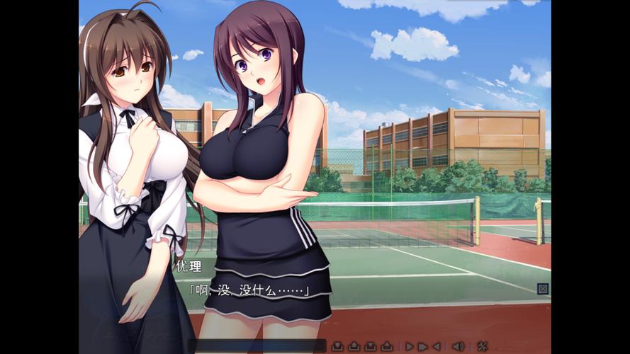 圣天之泪:各个版本游戏攻略与玩法详解