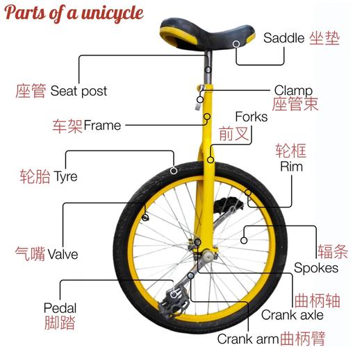 体重超标?教你如何选择合适的死亡独轮车