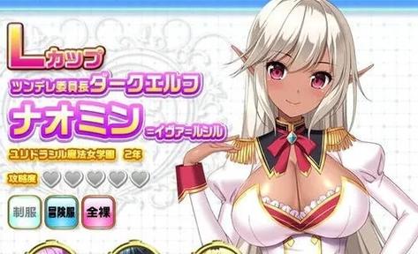 圣奴隶学园1绅士游戏攻略:快速上手游戏技巧分享