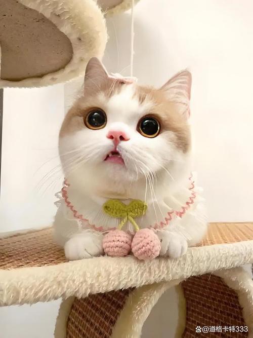 午夜撒娇版本大全：各种类型撒娇合集