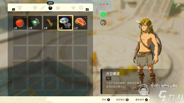 光明之主游戏攻略:从零开始,玩转光明之主世界