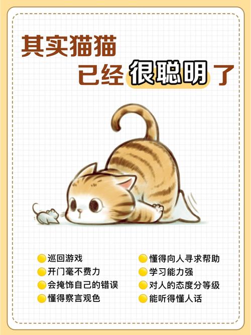 当你的猫咪更新地址找不到怎么办?解决方法都在这里!