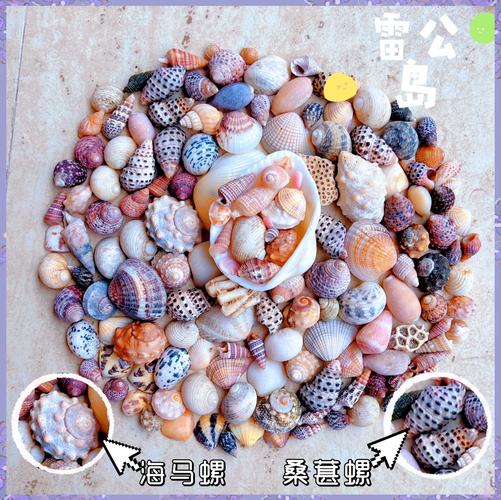 找不到炫舞贝壳？教你快速找到所有贝壳