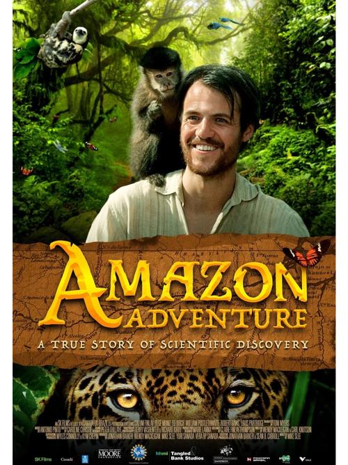 亚马逊之后,探索世界第二大森林的秘密与神奇