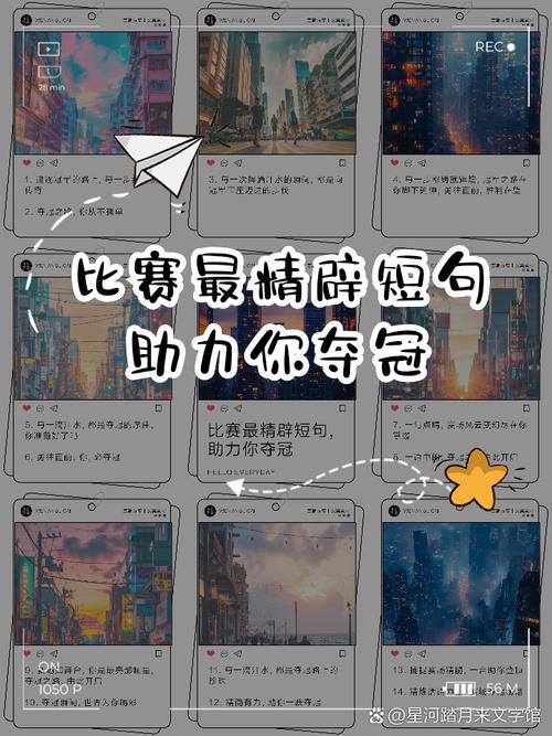 竞技比赛:冠军之路的汗水与泪水,拼搏与坚持