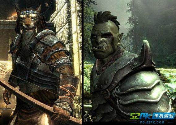 上古卷轴5种族选择指南：哪个种族最适合你？