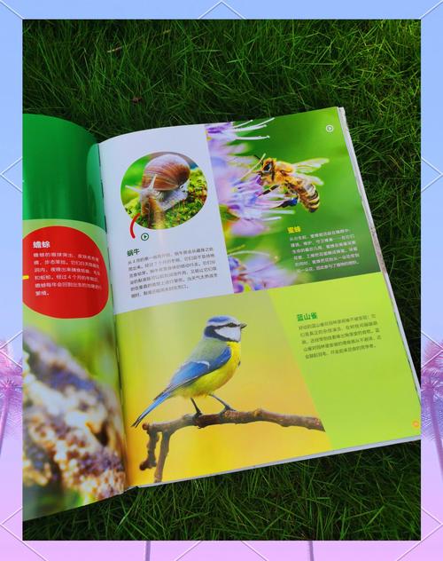 神奇动物园：探索未知，发现更多奇妙生物！