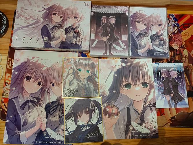 樱之刻手游下载:安卓苹果都能玩,超便捷下载