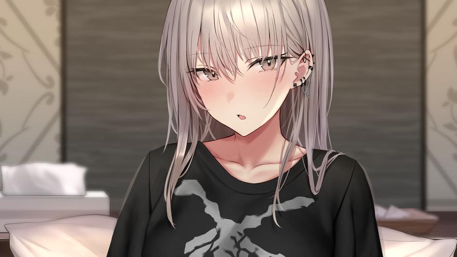 DANGO版本大全下载：找回你想要的旧版本