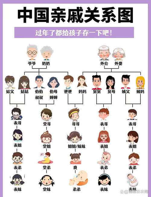 家庭数女版本大全：看看你的家庭属于哪一类