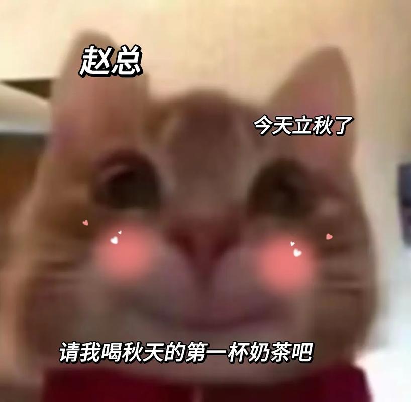 秋天第一杯奶茶52块钱?这波土味情话我爱了!