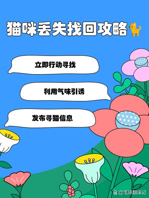 当你的猫咪更新地址找不到怎么办?解决方法都在这里!