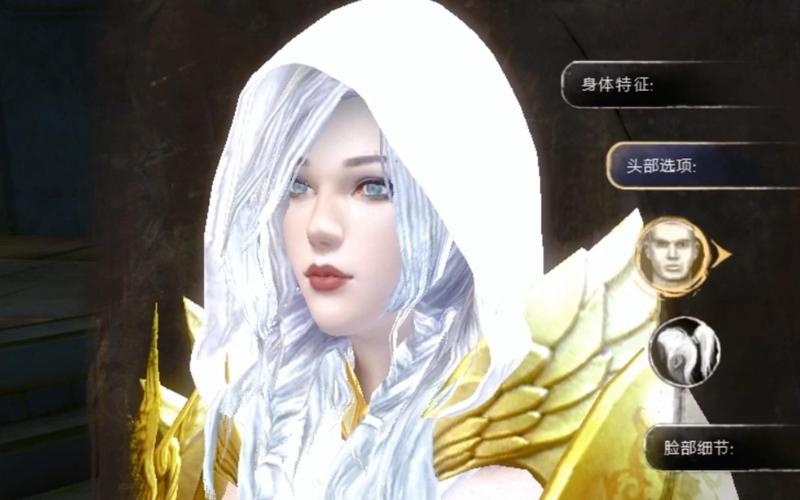 想在激战2里拥有精致脸庞?这份捏脸指南你值得拥有