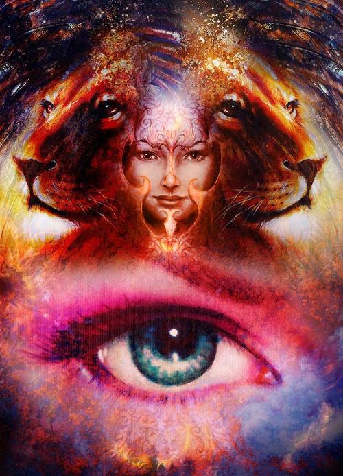 欲望理论第三季更新地址:高清资源哪里找?