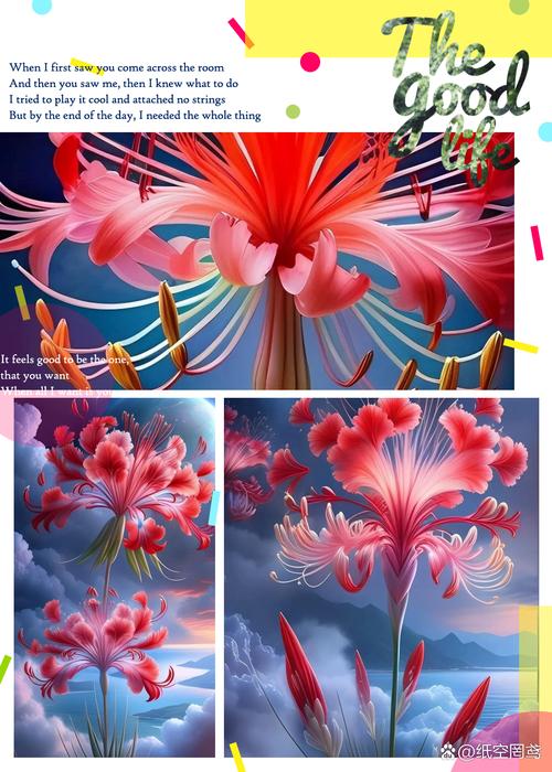 彼岸花更新地址在哪?最新资源分享!