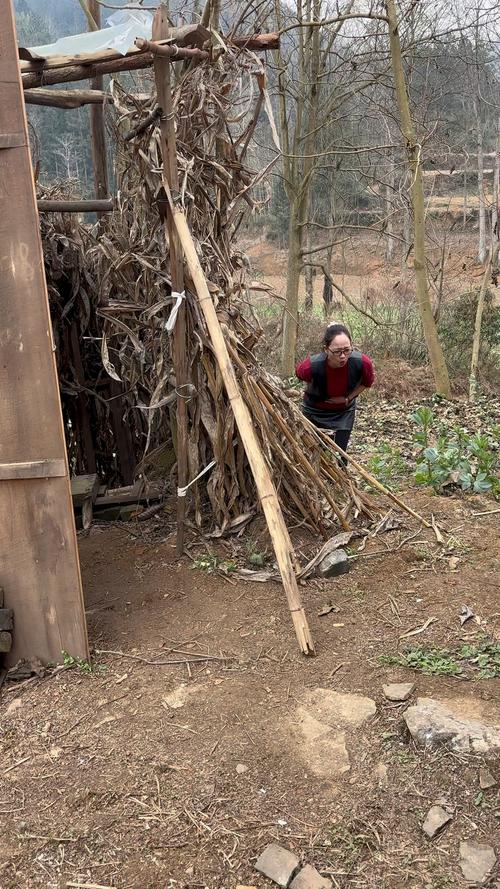 乡下生活版本大全：带你感受不一样的乡村生活