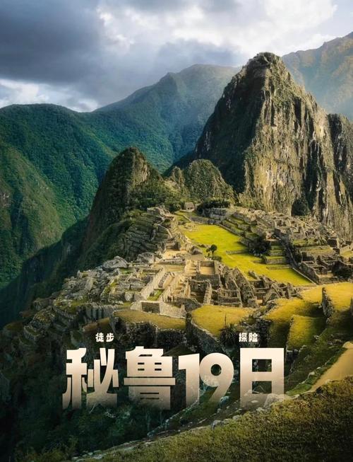 亚马逊之后,探索世界第二大森林的秘密与神奇