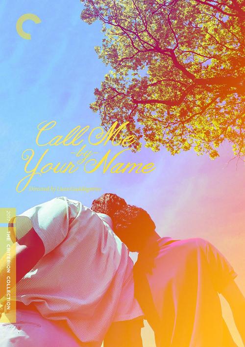 寻找萨沙的启蒙下载地址?这里有你想要的资源!