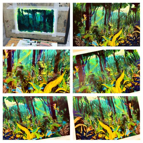 亚马逊之后,探索世界第二大森林的秘密与神奇