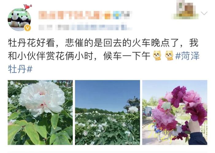 山河网:全面覆盖菏泽,你的本地生活指南