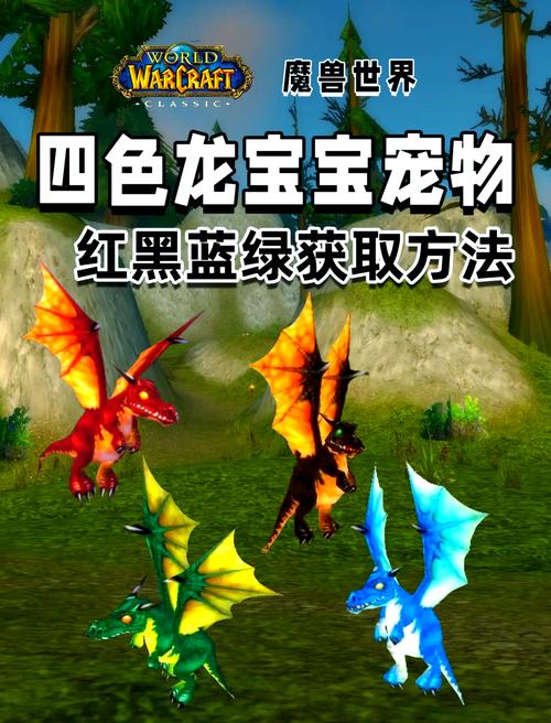 荆棘谷寻宝记:魔兽世界花羽鹦鹉捕捉全攻略