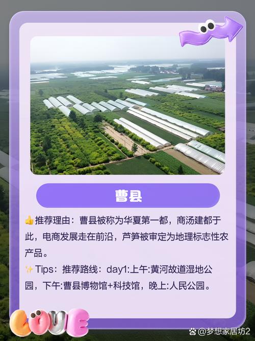 山河网:全面覆盖菏泽,你的本地生活指南