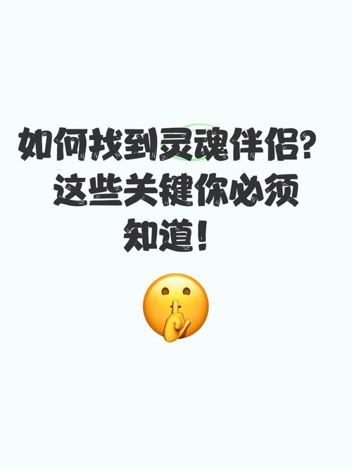 寻找你的灵魂伴侣?最新版本等你体验!