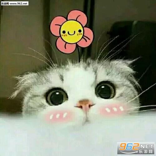 午夜撒娇版本大全：各种类型撒娇合集