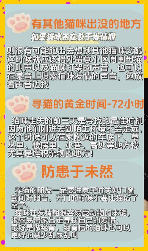 捡到千年猫最新版本玩法详解：解锁猫咪隐藏剧情