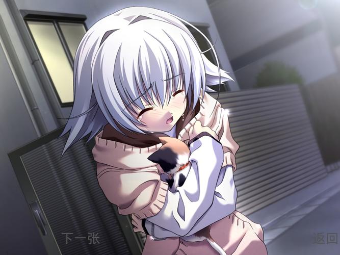 秋之回忆4游戏攻略：轻松玩转所有剧情路线