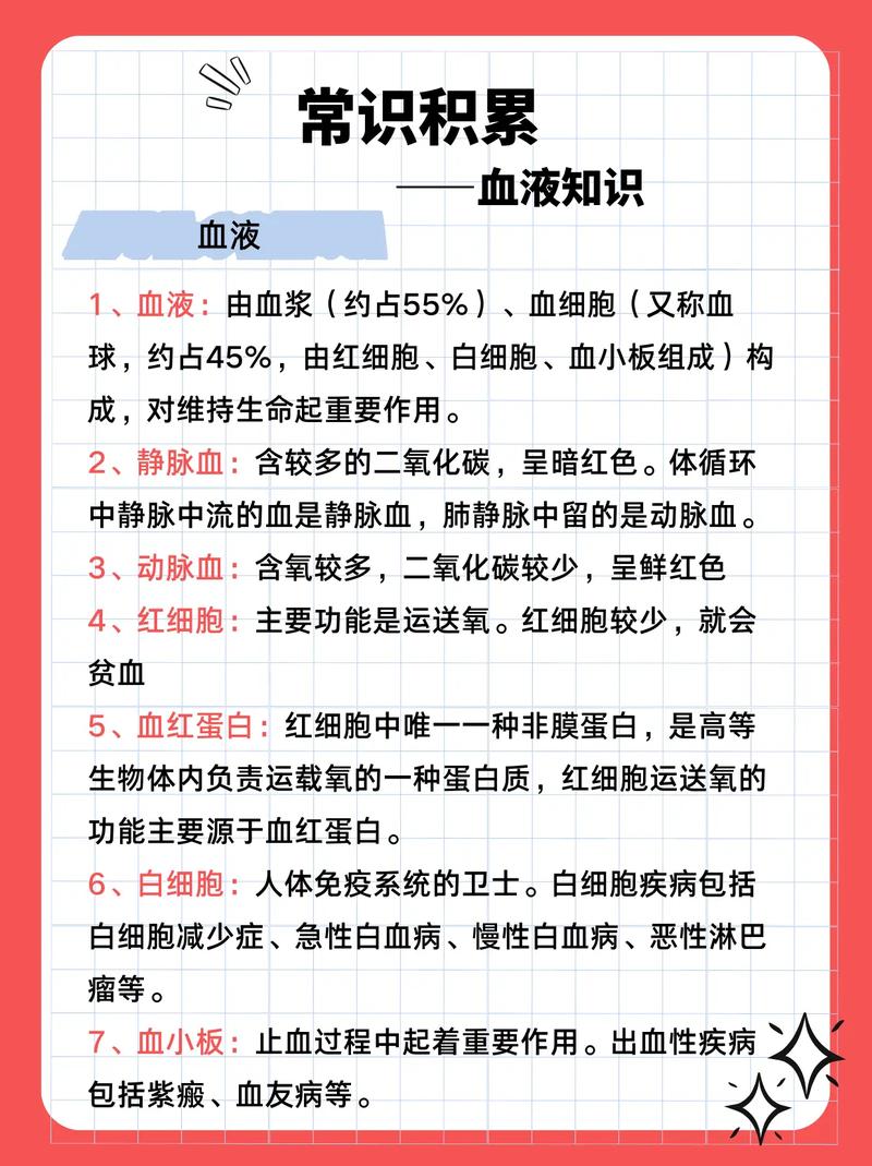 解读血环:词语释义及相关知识点介绍