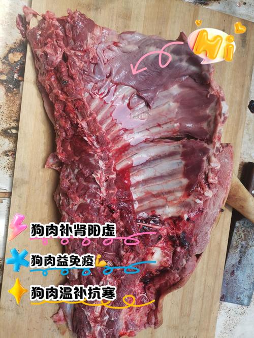 山狗肉是什么肉？山狗肉的营养价值和功效有哪些？