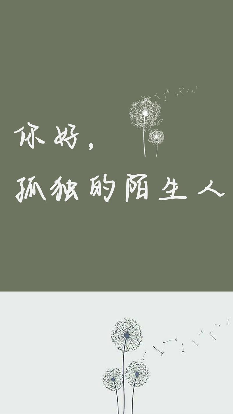 孤独的陌生人游戏攻略:新手入门必看技巧