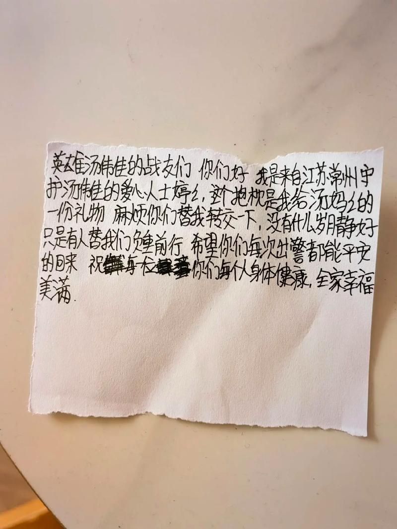 火金派与季火掌:一个关于守护与牺牲的故事