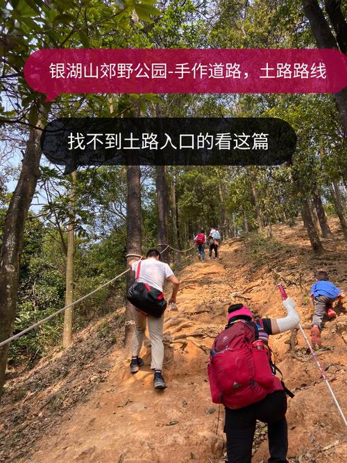 小绿山游戏攻略：全角色养成及路线选择指南