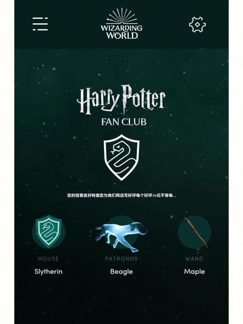 哈利波特分院测试：你是哪个学院的巫师？