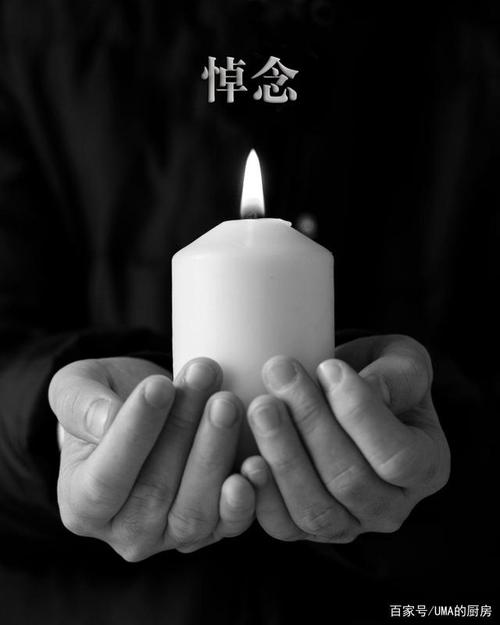 火金派与季火掌:一个关于守护与牺牲的故事