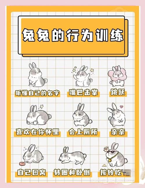 兔兔秘密花园游戏攻略:高分技巧与资源获取详解