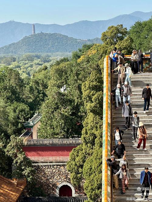 古人重阳节登高是爬山吗？真相可能让你意外！