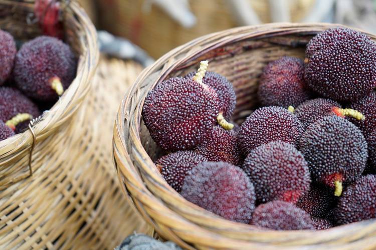 渠阳镇特色甜点推荐:探秘苗侗风味