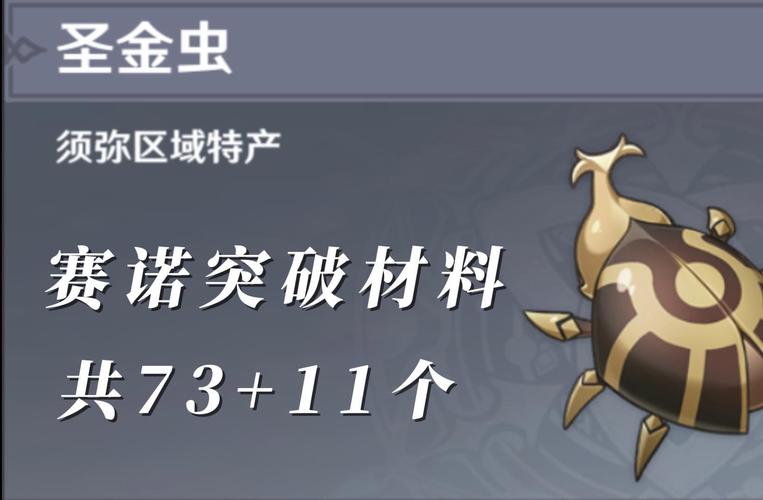 圣金甲虫游戏攻略:快速收集秘籍大公开